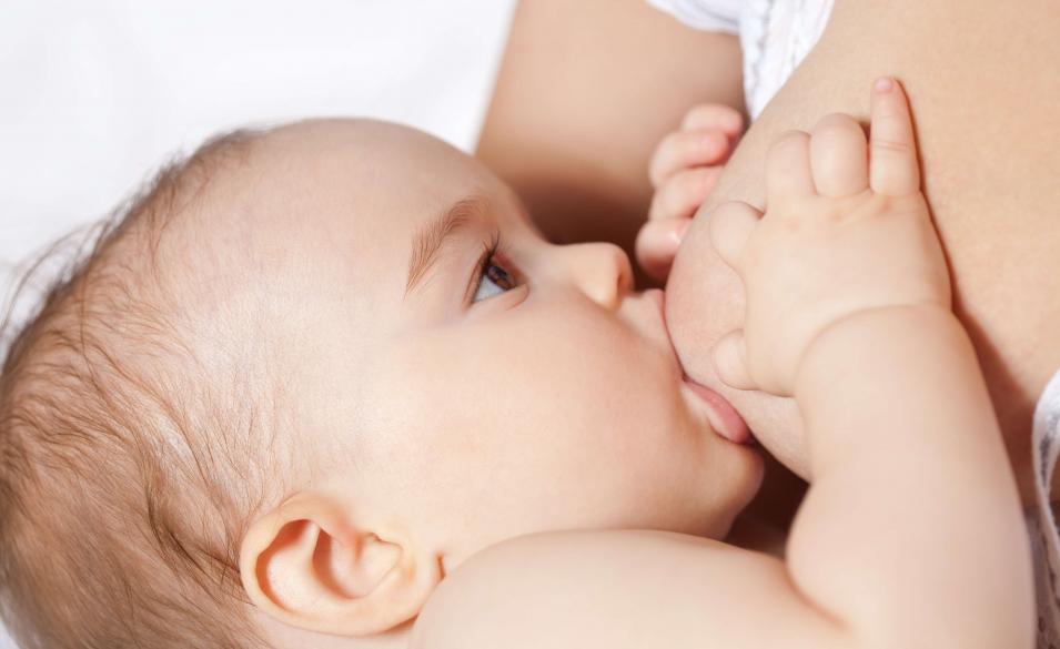 Alergija na proteine kravljeg mleka i dojenje